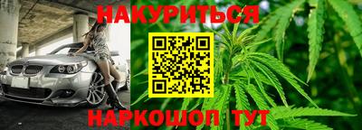 шишки Партизанск