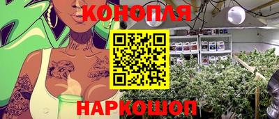 шишки Партизанск