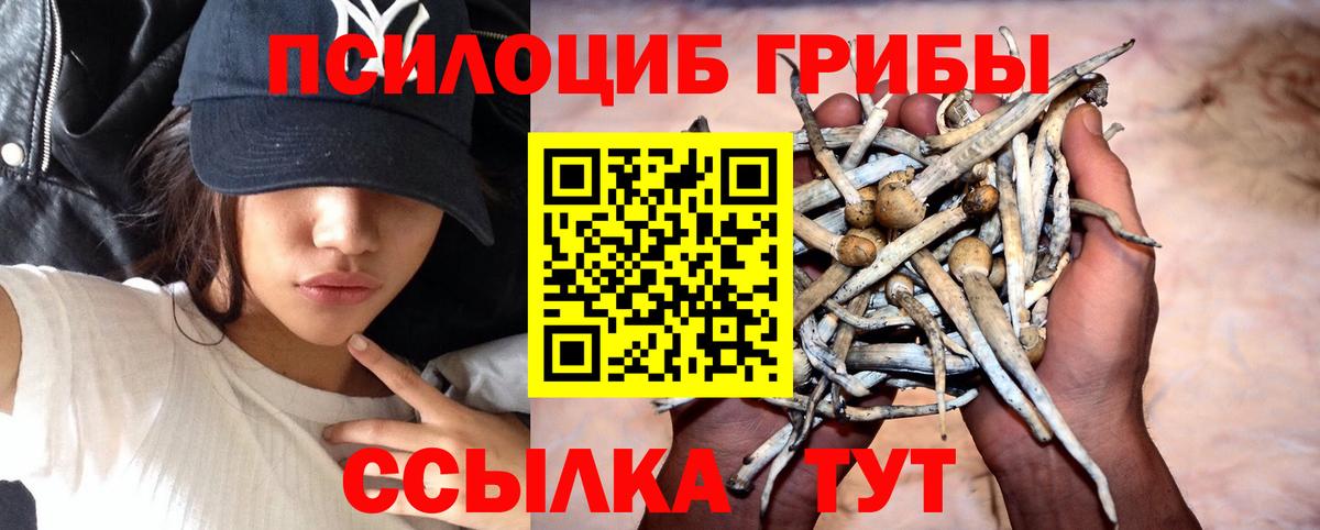 Галлюциногенные грибы ЛСД  Вход с VPN  Псилоцибиновые грибы мухоморы  Острогожск 
