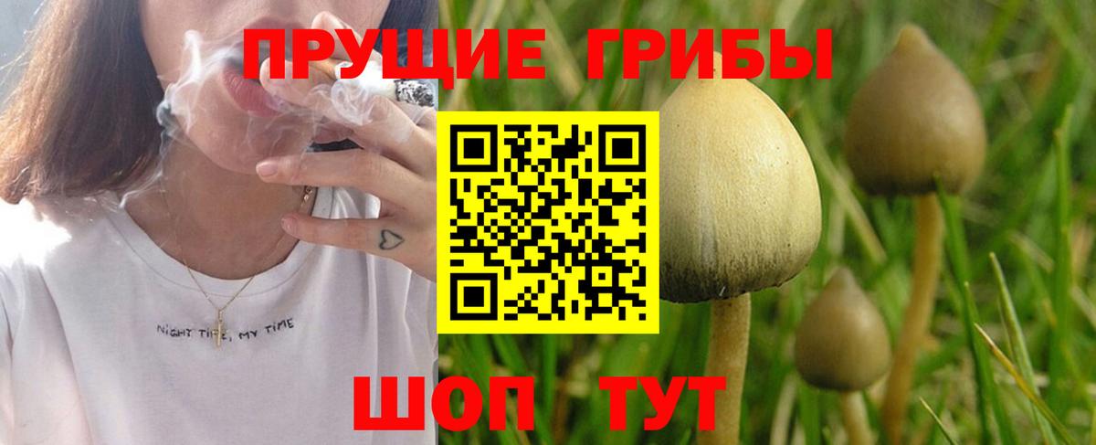 Галлюциногенные грибы прущие грибы Острогожск